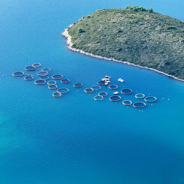 撮影サポート・現地スタッフ手配